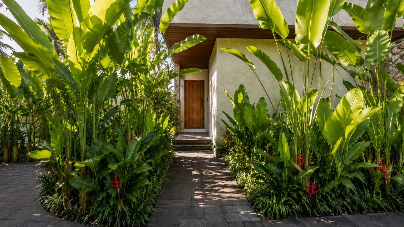 Diseño tropical contemporáneo — Acceso ajardinado
